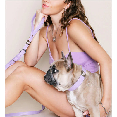 Lavender Rose Collar Charm Set - Your Pet Connection