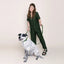 Olive Tiger Collar Charm Set - Your Pet Connection
