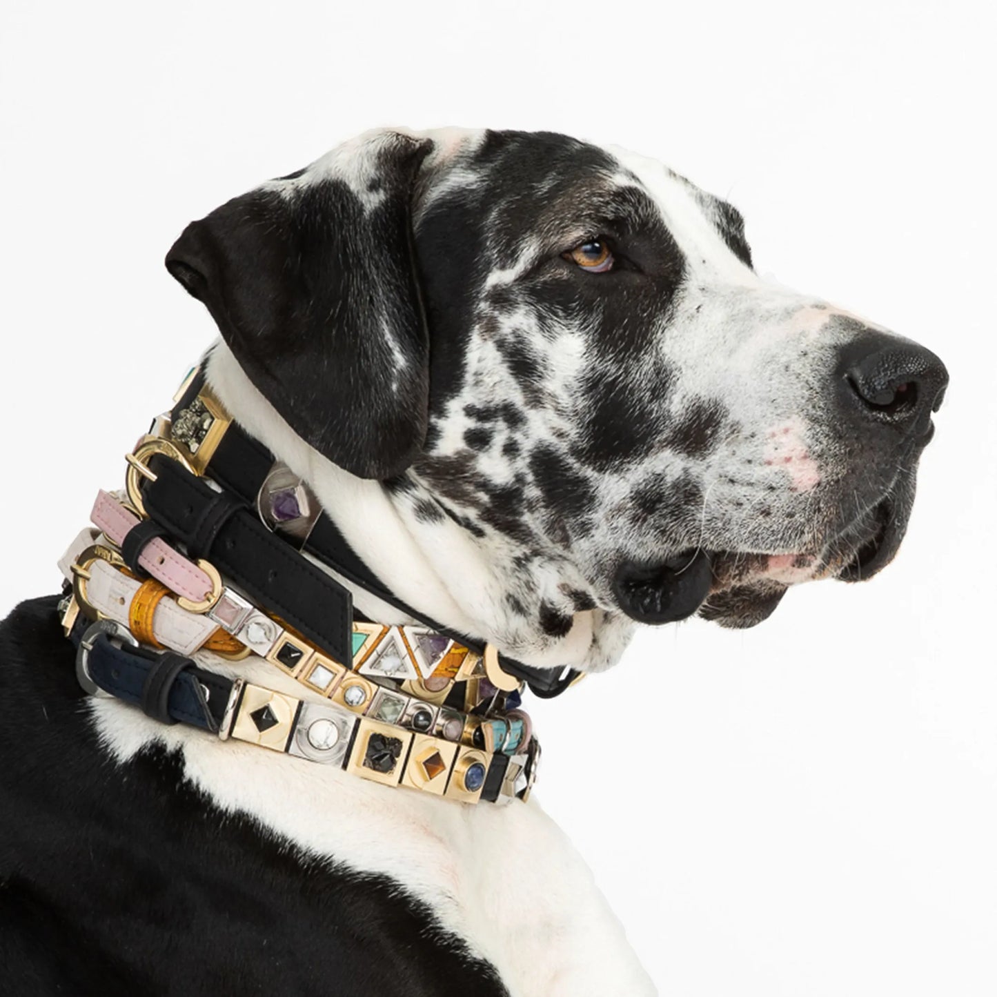 Pyrite Galaxy Collar Charm - Your Pet Connection