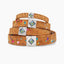Rainbow Pride Collar Charm Set - Your Pet Connection