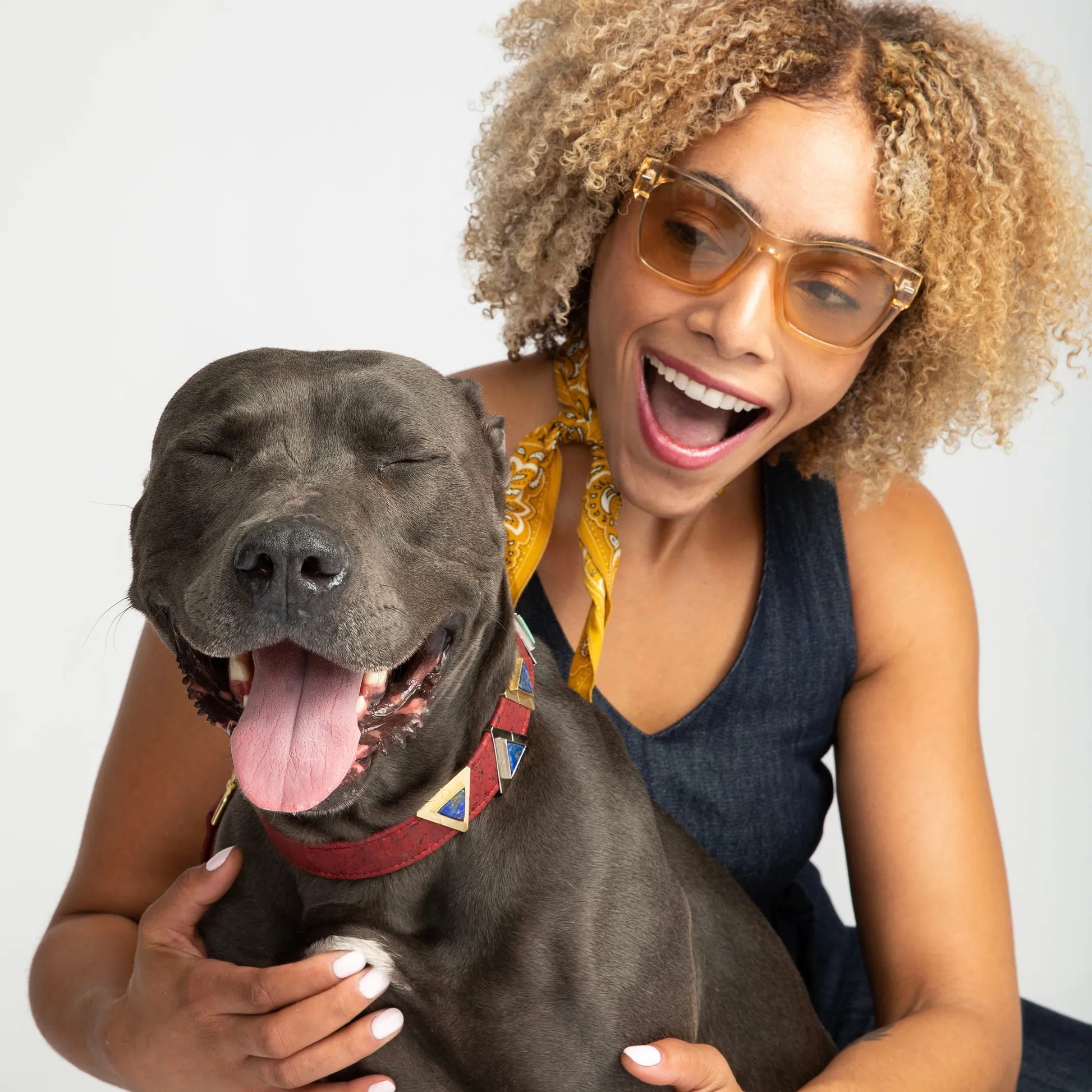Ruby Red Cork Leather Collar - Your Pet Connection