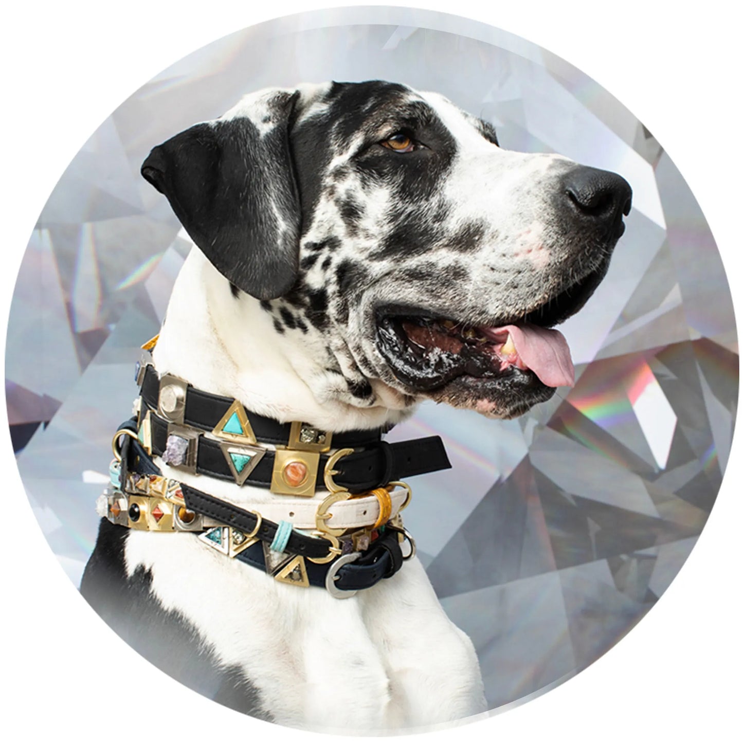 Ruby Red Cork Leather Collar - Your Pet Connection