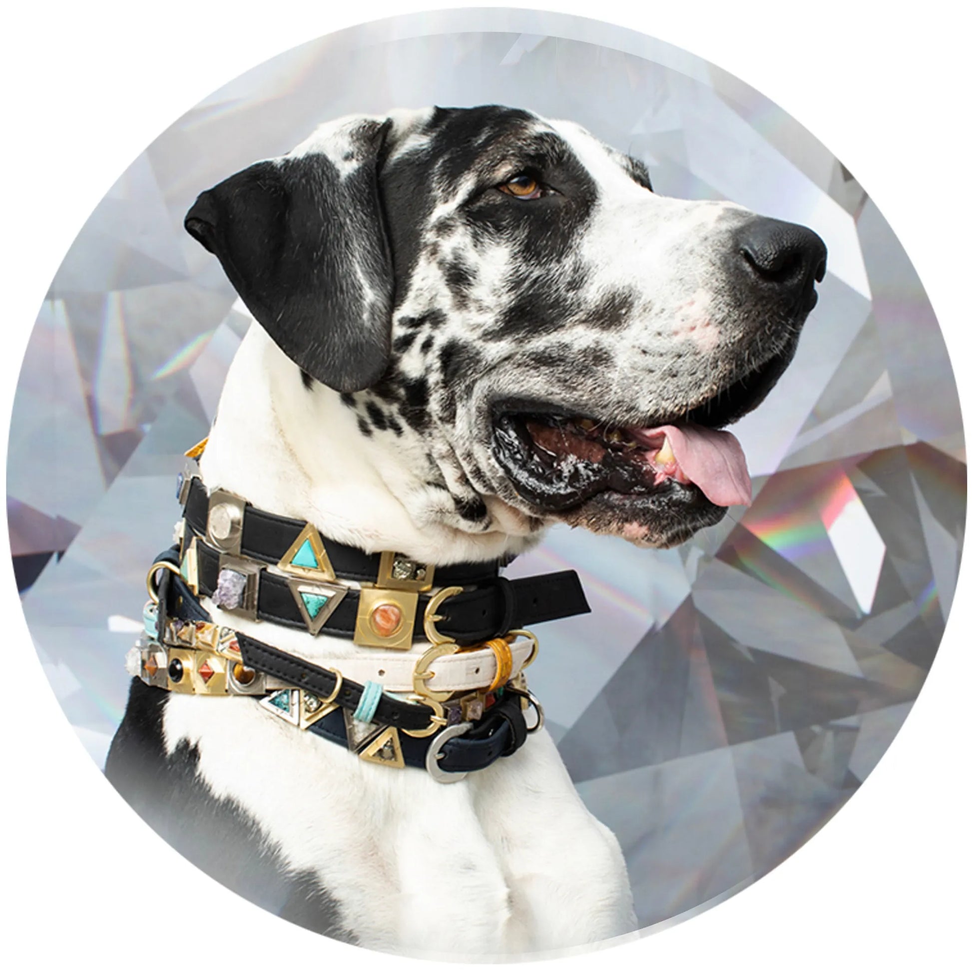 Ruby Red Cork Leather Collar - Your Pet Connection