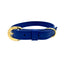 Galactic Blue Cactus Collar - Your Pet Connection