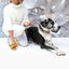Honey Yellow Cork Leather Leash - Your Pet Connection