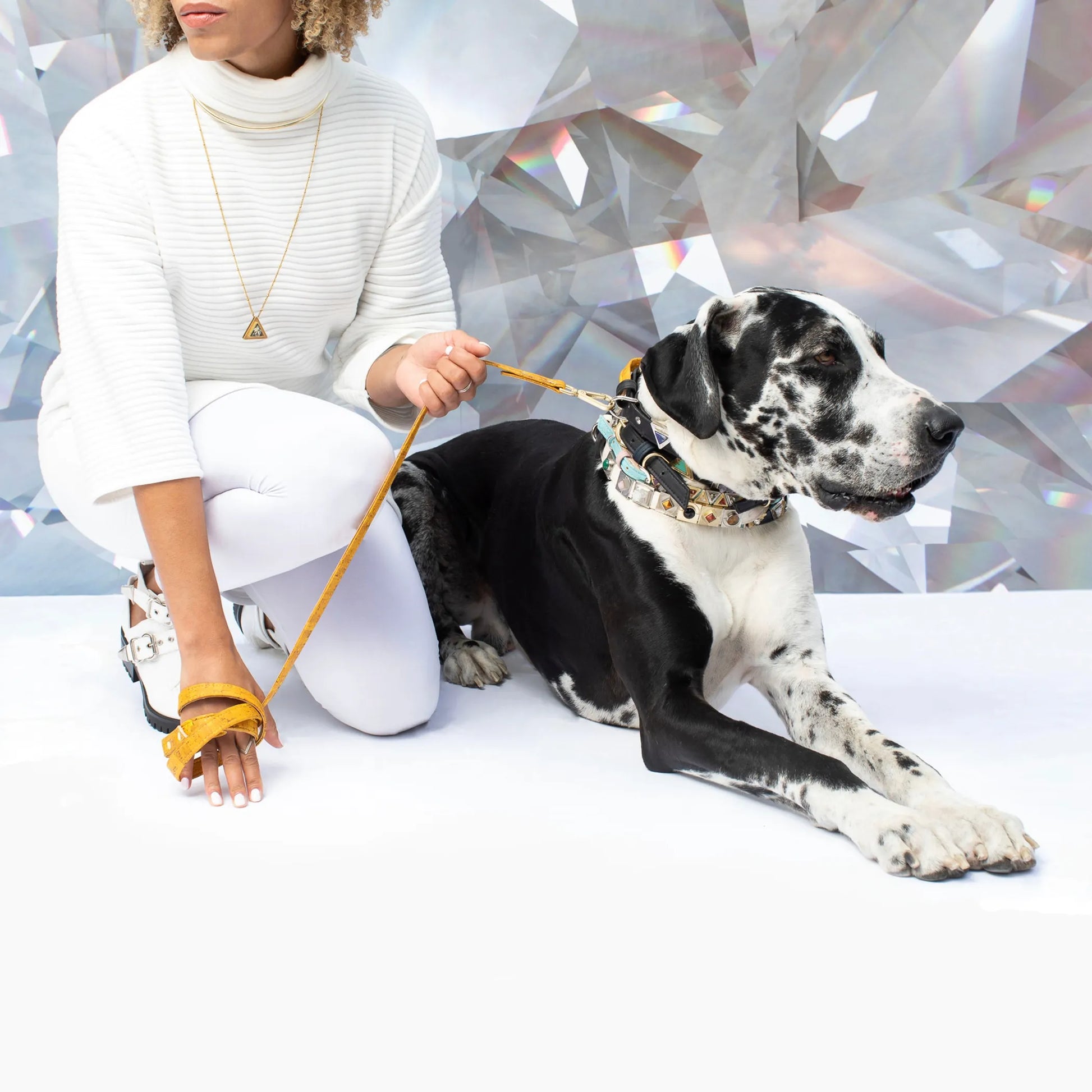 Honey Yellow Cork Leather Leash - Your Pet Connection