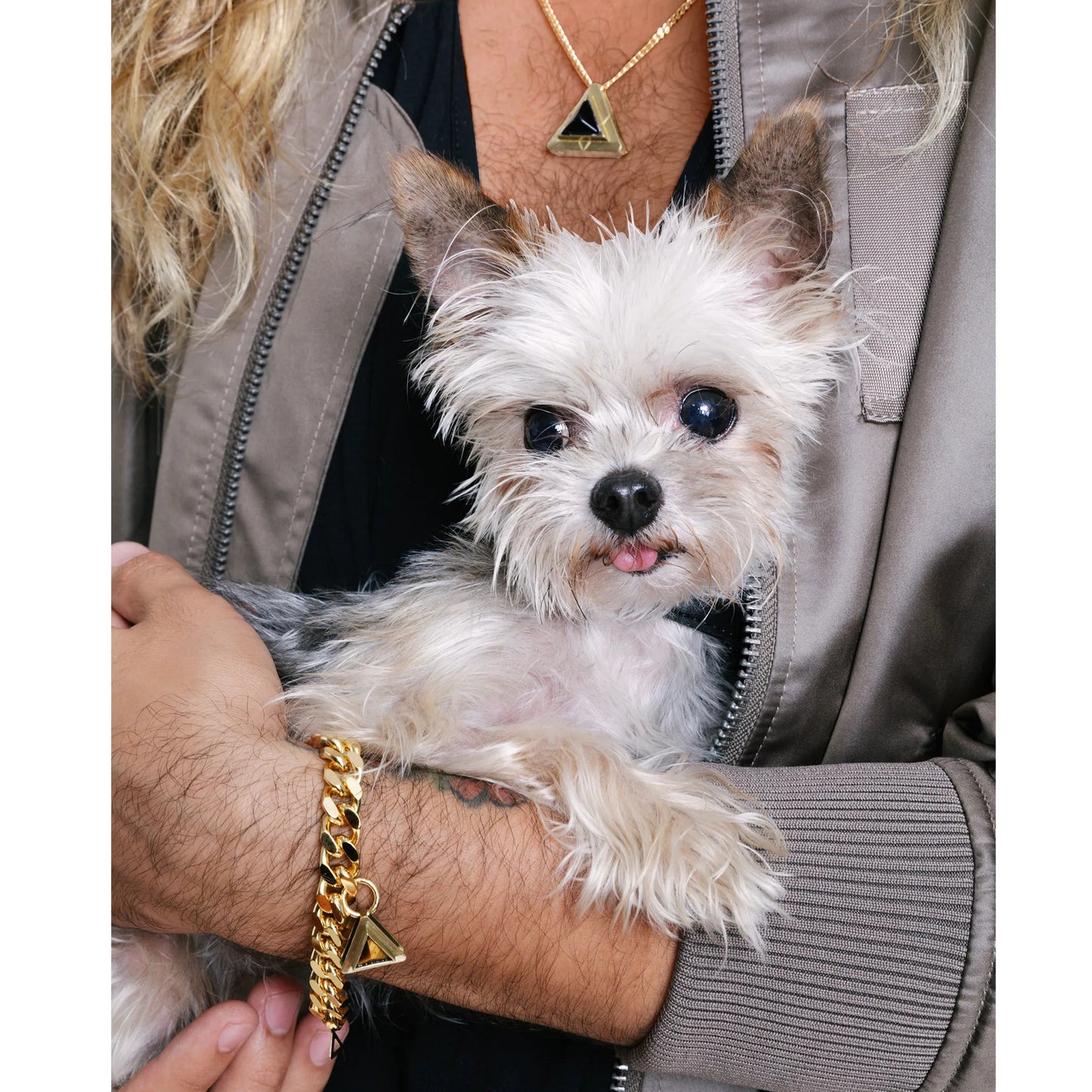 Iconic Bracelet in Gold - Your Pet Connection