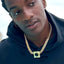 Iconic Moon Necklace in Gold - Your Pet Connection