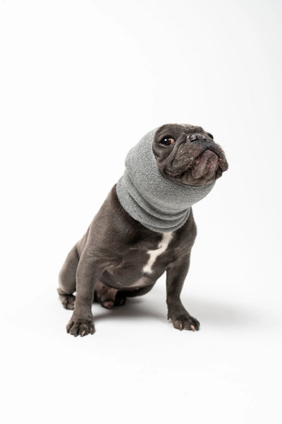 PET HOODZ DOG HOODIES FOR ANXIETY - Your Pet Connection