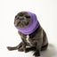 PET HOODZ DOG HOODIES FOR ANXIETY - Your Pet Connection