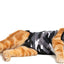 SUITICAL Cat Recovery Suits - Your Pet Connection