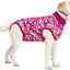 PetGiftz Snug Fit Dog Suit
