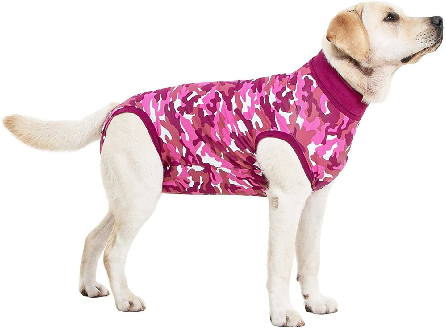 PetGiftz Snug Fit Dog Suit
