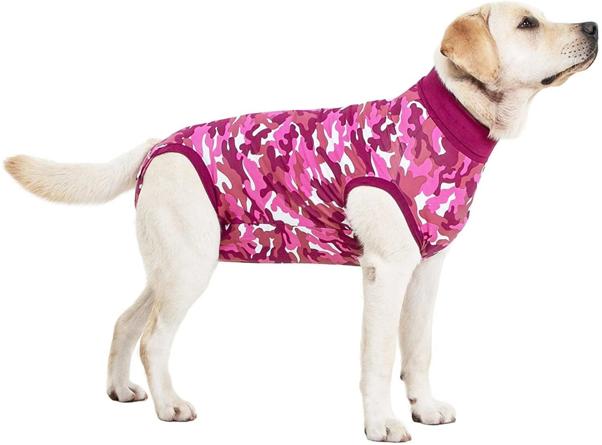 Suitical Dog Recovery Suits - Your Pet Connection