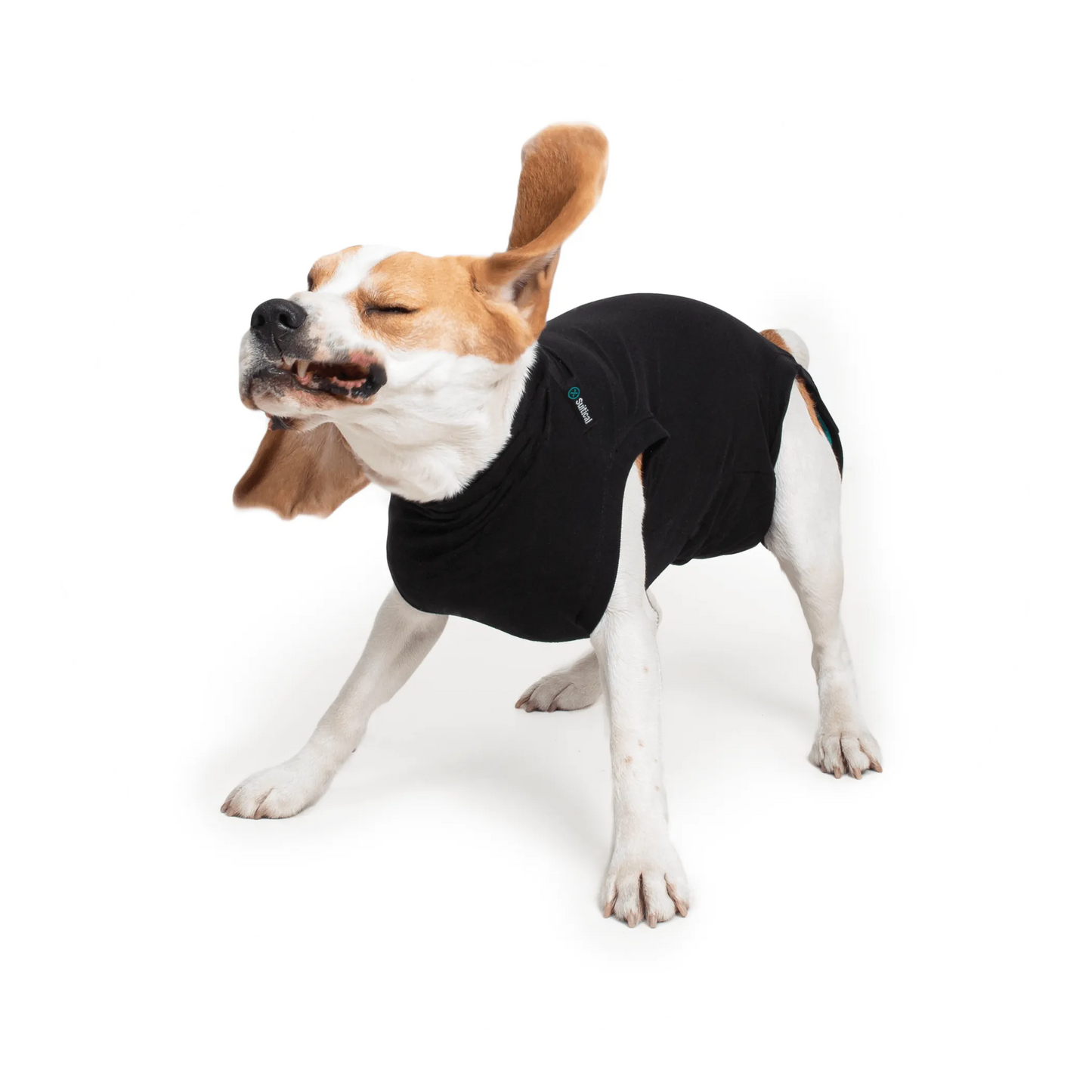 PetGiftz Snug Fit Dog Suit