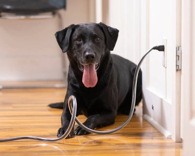 PETCORDS HEAVY DUTY 8FT CORD PROTECTOR FOR PETS MADE IN USA - Your Pet Connection