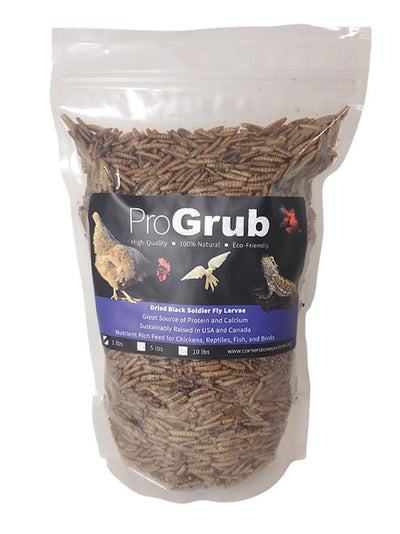 Dried Black Soldier Fly Larvae - Your Pet Connection