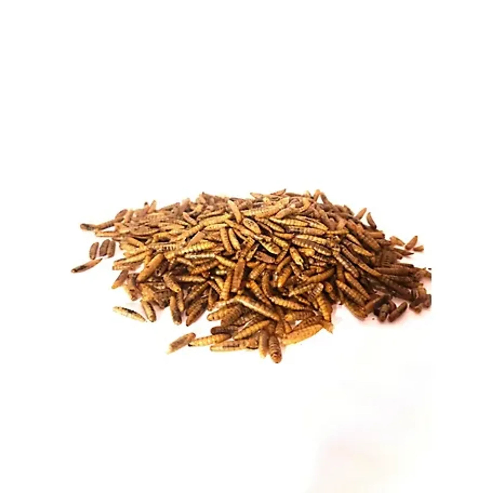 Dried Black Soldier Fly Larvae - Your Pet Connection