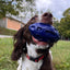 Chewie Squeak Rubber Football - Your Pet Connection