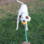 Mako Treat n Chew Rope Toy - Your Pet Connection