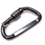 LARGE CARABINER - Your Pet Connection