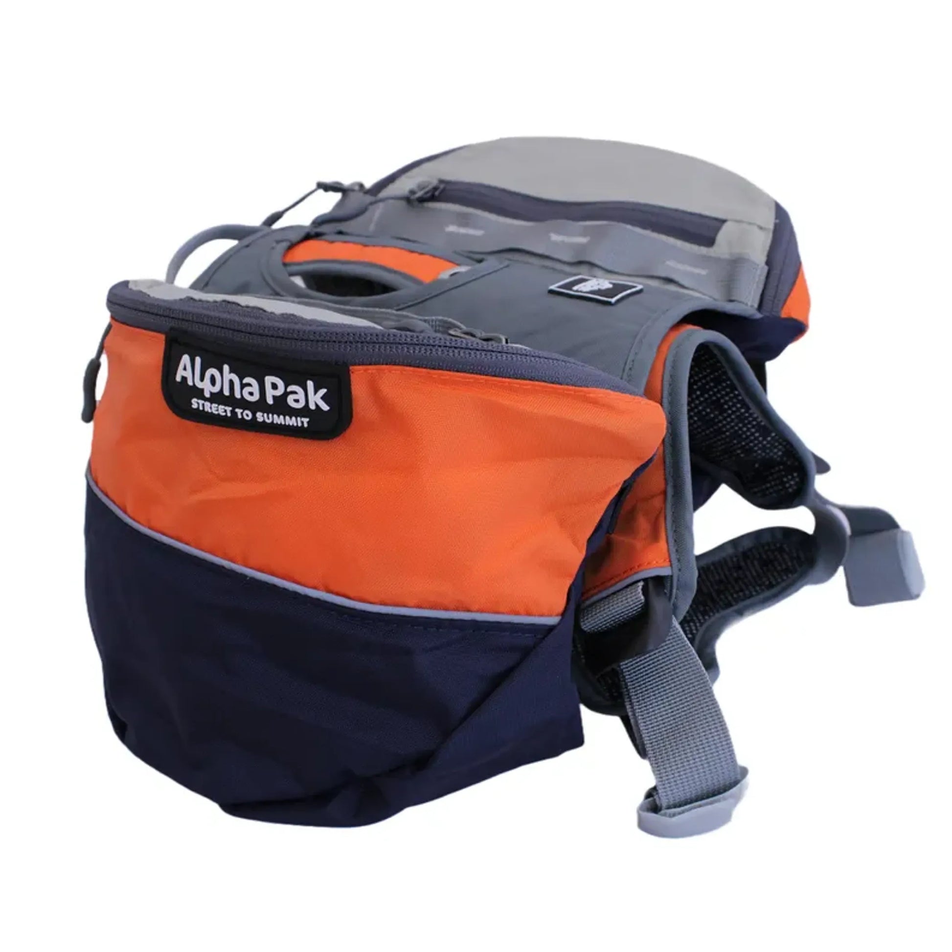 Adventurer 2-piece Dog Pack With EZ Latch  Harness - Your Pet Connection