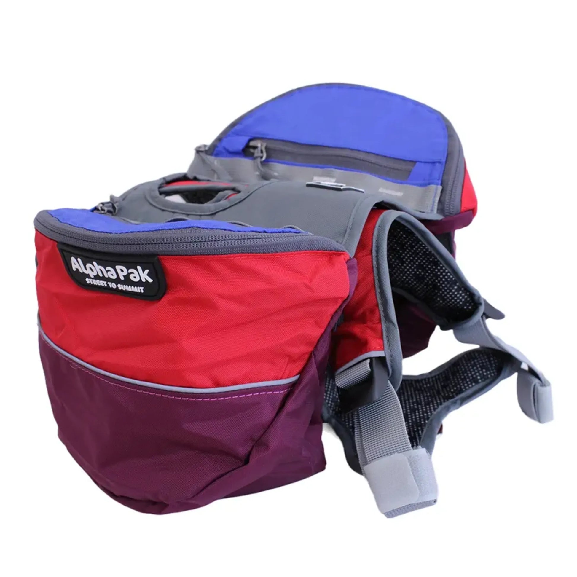 Adventurer 2-piece Dog Pack With EZ Latch  Harness - Your Pet Connection