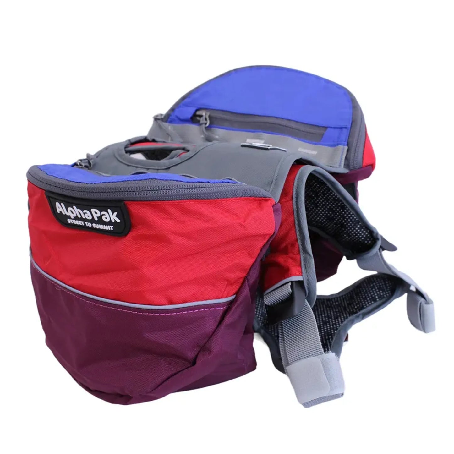 Adventurer 2-piece Dog Pack With EZ Latch  Harness - Your Pet Connection