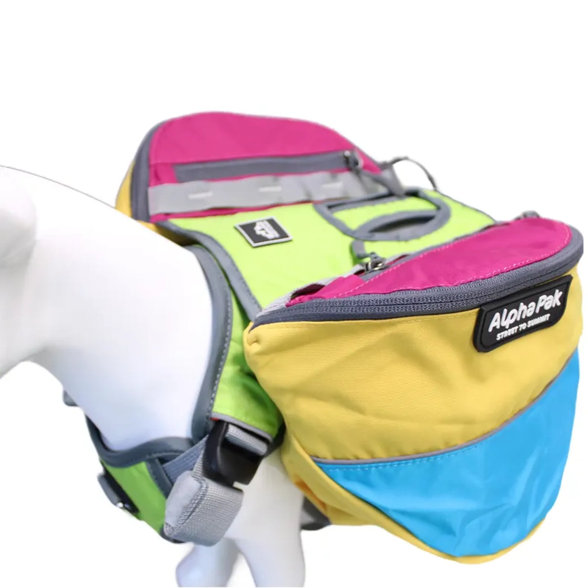 Adventurer 2-piece Dog Pack With EZ Latch  Harness - Your Pet Connection
