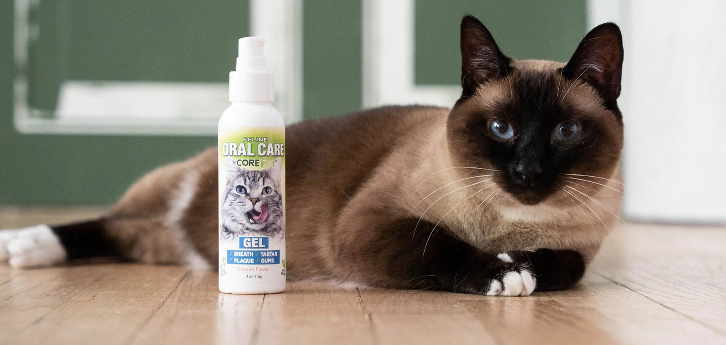 Feline Salmon Gel - Your Pet Connection