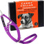 Canny Collar No-Pull Dog Head Collar Gentle & Humane Leash Training Aid