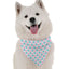 Bandoggies Chic Silk Dog Bandanas for Pets
