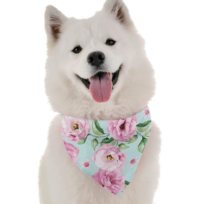 Rose - Your Pet Connection