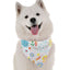 Bandoggies Chic Dog Bandanas Medium