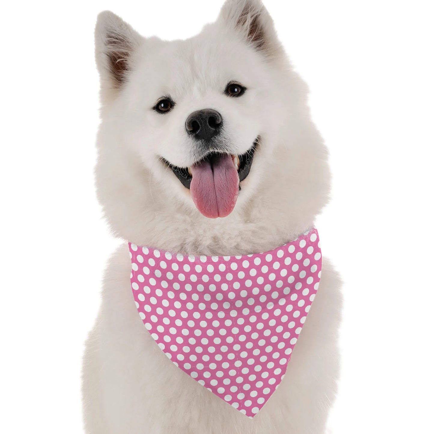 Bandoggies Chic Dog Bandanas for All Breeds