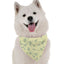 Bandoggies Nature-Inspired Dog Bandanas Large