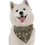 Bandoggies Silky-Soft Adjustable Dog Bandanas