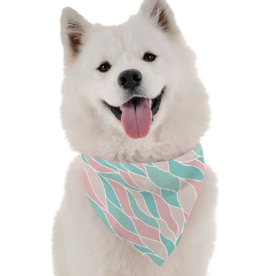 Maya - Your Pet Connection