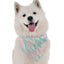 Bandoggies Fashionable Dog Bandanas (Small to Large)
