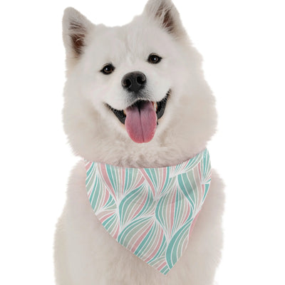 Remi - Your Pet Connection