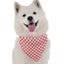 Bandoggies Silk Blend Adjustable Dog Bandanas