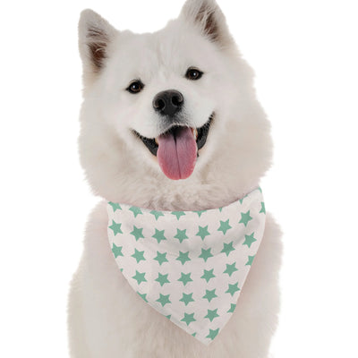 You're a Star - Your Pet Connection