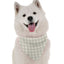 Bandoggies Stylish Dog Bandanas 10-20 inches