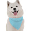Bandoggies Chic Dog Bandanas Small Size
