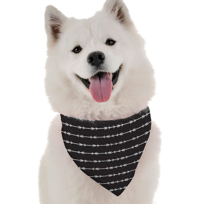 Reva - Your Pet Connection