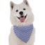 Bandoggies Stylish Dog Bandanas Medium