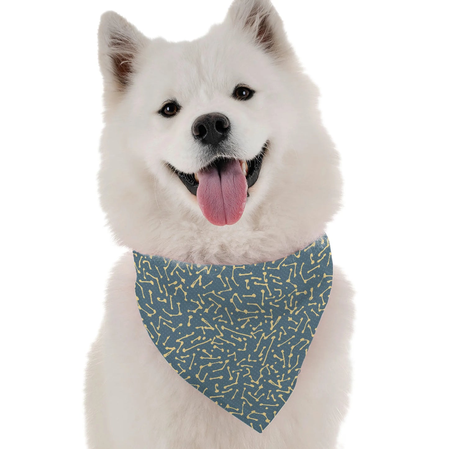 Bandoggies Modern Dog Bandana Collection