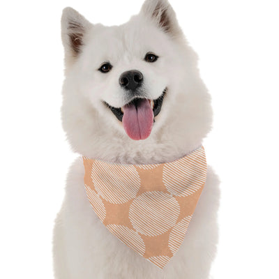 Aria - Your Pet Connection