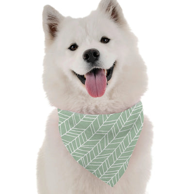 Jade - Your Pet Connection