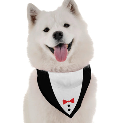 Tuxedo - Your Pet Connection